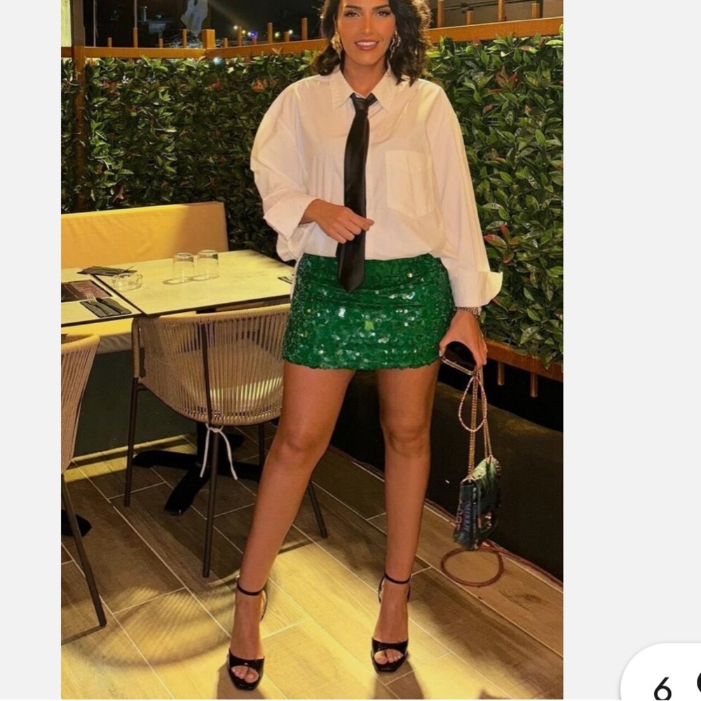 Zara floral embroidered sequin mini skirt